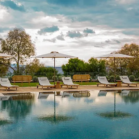 Hotell Palaia