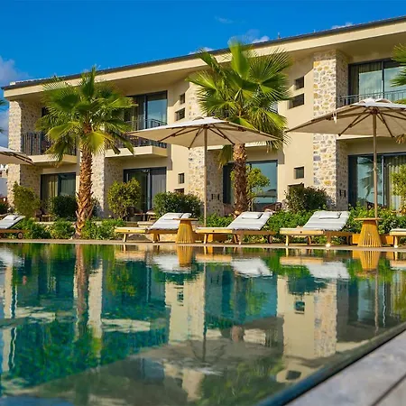 Palaia فندق *